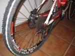 imagen010v.jpg
