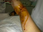 21092010392.jpg