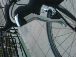 IMG00111-20100530-2010.jpg