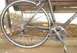 GIANT TCR 5.jpg