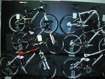 FBK 2010 013.1.jpg