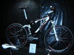 FBK 2010 003.1.jpg