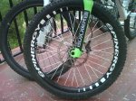 IMG01163-20100920-0950.jpg