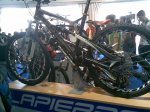 festibike  10.jpg