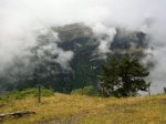 CIMG0622.jpg