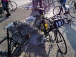 14032010227.jpg