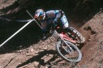 bigbear_12.jpg