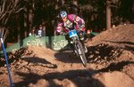 bigbear_29.jpg