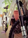 IMG_0152specialxexu.jpg
