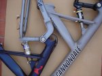 DSC02111r.jpg