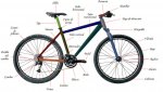Bicicleta 5.jpg