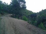 P240910_19.46.jpg