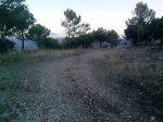 P240910_20.05.jpg