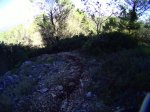 PICT0003.jpg