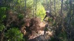 DSC00175.JPG
