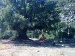 25092010243.jpg