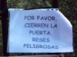 Foto ultimo dia6.JPG