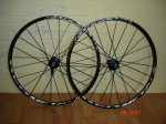 DSC01522.jpg