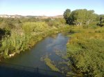 Imagen0173.jpg
