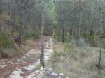 P1020103.jpg