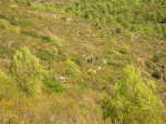 DSCN9182.JPG