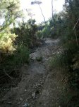 Foto0893.jpg