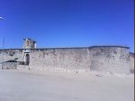 DSC00485.jpg