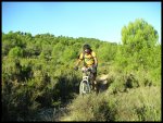 PICT0037.jpg