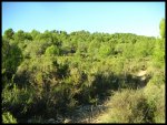 PICT0040.jpg
