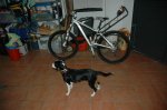 DSC_1737.jpg