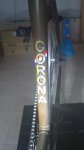 Corona q.jpg