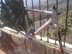 kuota23.jpg