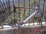 kuota22.jpg