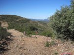 IMG_0252.jpg