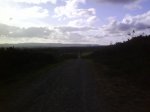 DSC00270.jpg