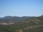 IMG_0253.jpg