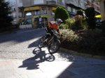 DSC00615.jpg