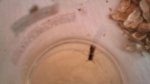 DSC00328.jpg