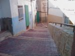 IMAG0231.jpg