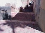IMAG0226.jpg