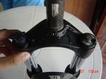 DSC03779.jpg