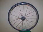ruedas elite y aksyum 014.jpg