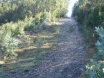 DSC00090.jpg