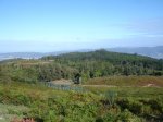 DSC00087.jpg