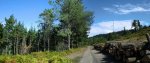Panorama.jpg