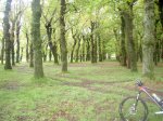 ruta-2010-5.jpg