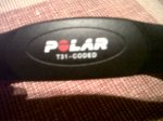 polar 3.jpg