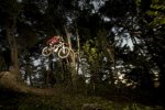 forest_jump_web_1000.jpg