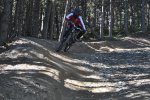 DSC_0308.jpg