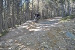 DSC_0303.jpg